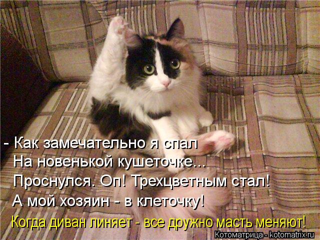 - Как замечательно я спал На новенькой кушеточке... Проснулся. Оп! Трехцветным стал! А мой хозяин - ... Котоматрица: - Как замечательно я спал На новенькой кушеточке... Проснулся. Оп! Трехцветным стал! А мой хозяин - в клеточку! Когда диван линяет - все дружно