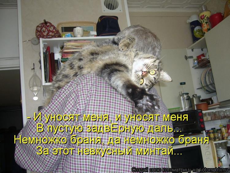 Котоматрица: - И уносят меня, и уносят меня В пустую задвЕрную даль... Немножко браня, да немножко браня За этот невкусный минтай...