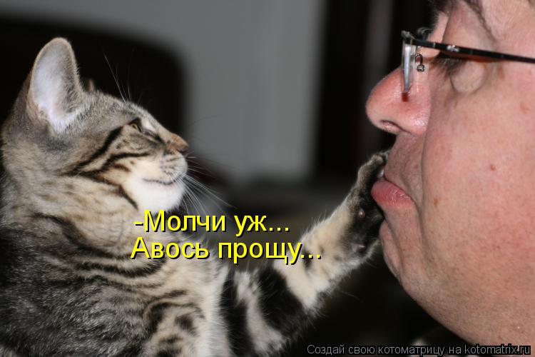 Авось прощу... -Молчи уж...... Котоматрица: Авось прощу... -Молчи уж...