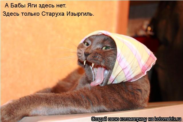 Котоматрица: А Бабы Яги здесь нет.  Здесь только Старуха Изыргиль.