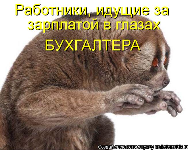 Котоматрица: Работники, идущие за  зарплатой в глазах  БУХГАЛТЕРА