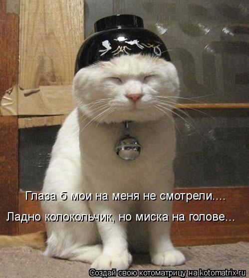 Котоматрица: Глаза б мои на меня не смотрели.... Ладно колокольчик, но миска на голове...