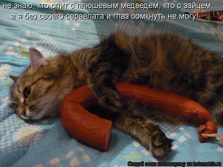 не знаю, кто спит с плюшевым медведем, кто с зайцем, а я без своего сервелата и глаз сомкнуть не мог... Котоматрица: не знаю, кто спит с плюшевым медведем, кто с зайцем, а я без своего сервелата и глаз сомкнуть не могу!