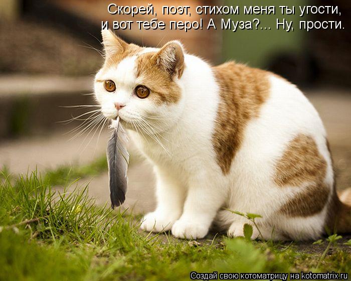 Скорей, поэт, стихом меня ты угости, и вот тебе перо! А Муза?... Ну, прости.... Котоматрица: Скорей, поэт, стихом меня ты угости, и вот тебе перо! А Муза?... Ну, прости.
