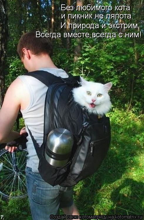 Котоматрица: Без любимого кота  и пикник не ляпота. И природа и экстрим, Всегда вместе,всегда с ним!