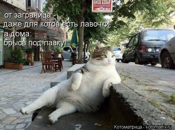 Котоматрица: от заграница -  даже для котов есть лавочки, а дома: брысь под лавку!