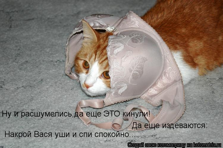 Ну и расшумелись,да еще ЭТО кинули! Накрой Вася уши и спи спокойно... Да еще издеваются:... Котоматрица: Ну и расшумелись,да еще ЭТО кинули! Накрой Вася уши и спи спокойно... Да еще издеваются:
