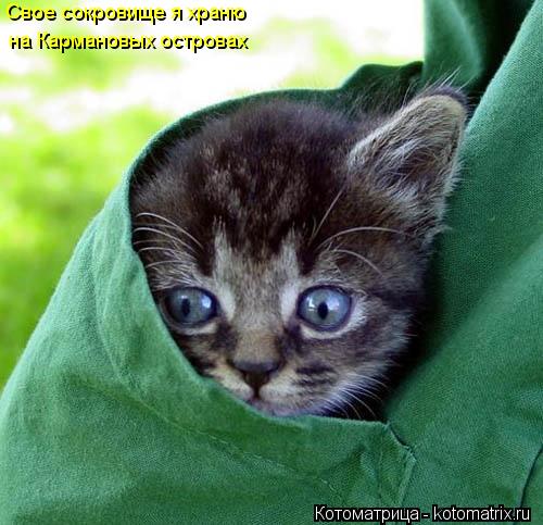 Котоматрица: Свое сокровище я храню на Кармановых островах