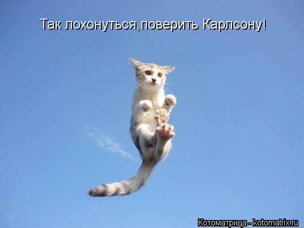 Котоматрица: Так лохонуться,поверить Карлсону!