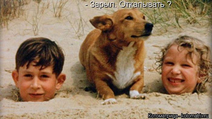Котоматрица: - Зарыл. Откапывать ?