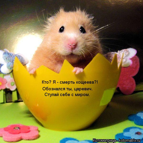 Котоматрица: Кто? Я - смерть кощеева?! Обознался ты, царевич. Ступай себе с миром.