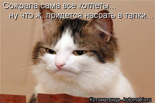 Котоматрица: Сожрала сама все котлеты... ну что ж, придется насрать в тапки...