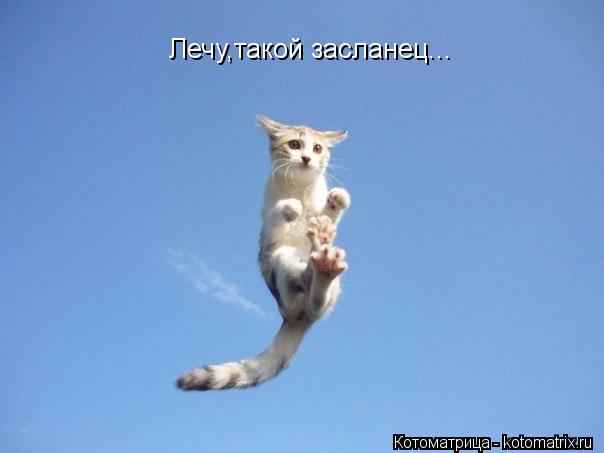 Котоматрица: Лечу,такой засланец...