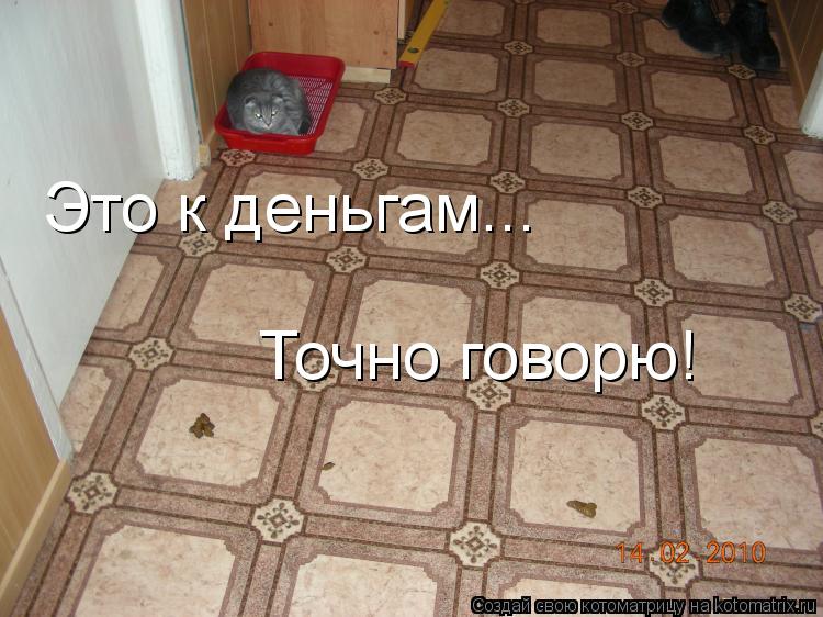 Котоматрица: Это к деньгам...  Точно говорю!