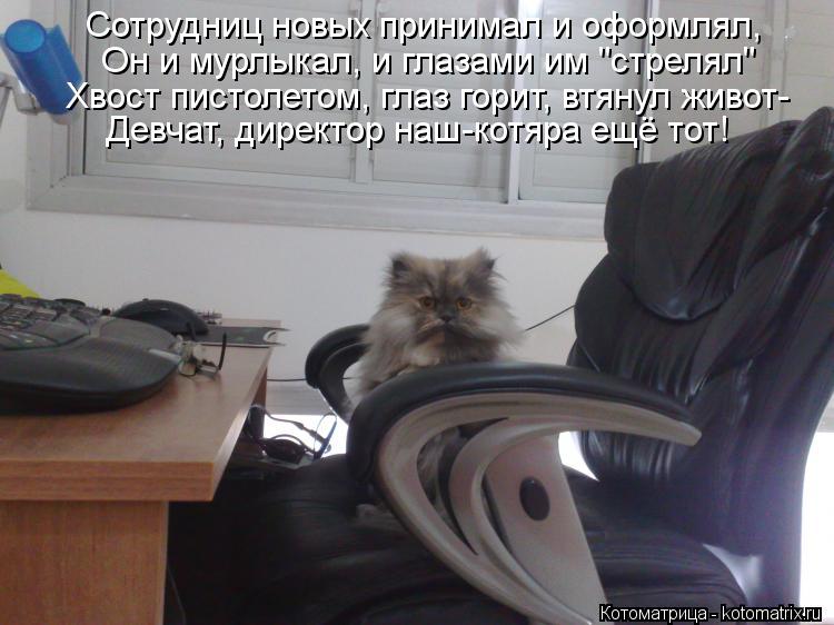 Сотрудниц новых принимал и оформлял, Он и мурлыкал, и глазами им "стрелял" Хвост пистолетом, глаз гор... Котоматрица: Сотрудниц новых принимал и оформлял, Он и мурлыкал, и глазами им "стрелял" Хвост пистолетом, глаз горит, втянул живот- Девчат, директор наш-ко