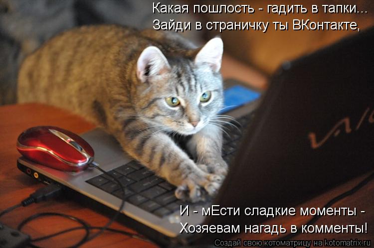 Какая пошлость - гадить в тапки... Зайди в страничку ты ВКонтакте, И - мЕсти сладкие моменты - Хозяе... Котоматрица: Какая пошлость - гадить в тапки... Зайди в страничку ты ВКонтакте, И - мЕсти сладкие моменты - Хозяевам нагадь в комменты!