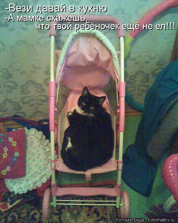 -Вези давай в кухню -А мамке скажешь, что твой ребёночек ещё не ел!!!... Котоматрица: -Вези давай в кухню -А мамке скажешь, что твой ребёночек ещё не ел!!!