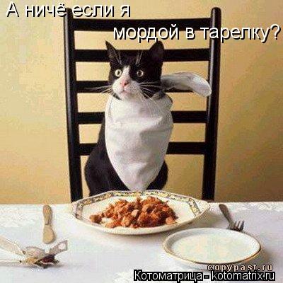 Котоматрица: А ничё если я  мордой в тарелку?