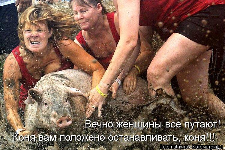 Вечно женщины все путают! Коня вам положено останавливать, коня!!!... Котоматрица: Вечно женщины все путают! Коня вам положено останавливать, коня!!!