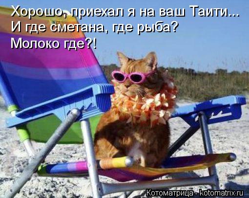 Котоматрица: Хорошо, приехал я на ваш Таити... И где сметана, где рыба? Молоко где?!