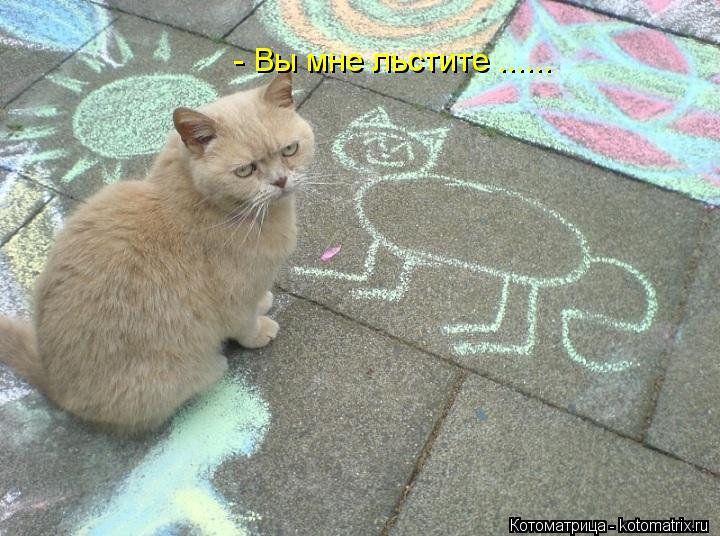 - Вы мне льстите ......... Котоматрица: - Вы мне льстите ......