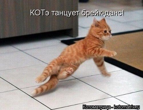 Котоматрица: КОТэ танцует брейк-данс!