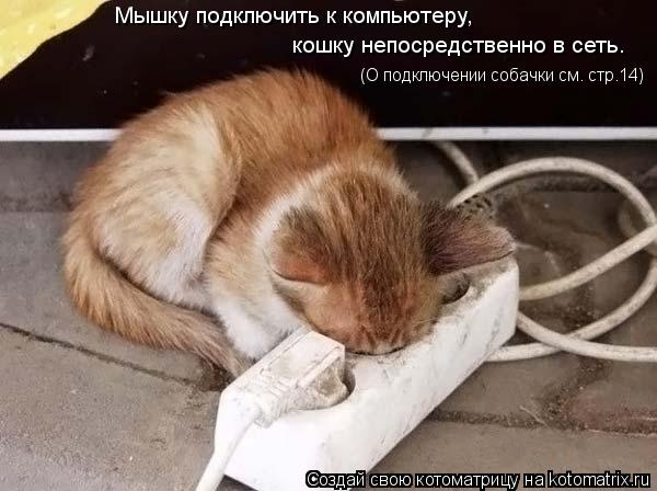 Мышку подключить к компьютеру, кошку непосредственно в сеть. (О подключении собачки см. стр.14)... Котоматрица: Мышку подключить к компьютеру, кошку непосредственно в сеть. (О подключении собачки см. стр.14)