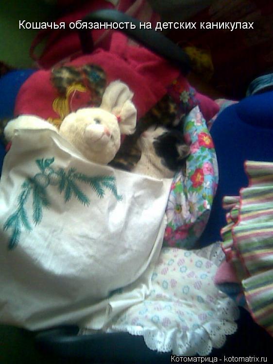 Кошачья обязанность на детских каникулах... Котоматрица: Кошачья обязанность на детских каникулах