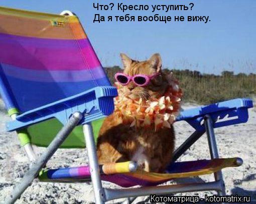 Котоматрица: Что? Кресло уступить? Да я тебя вообще не вижу.