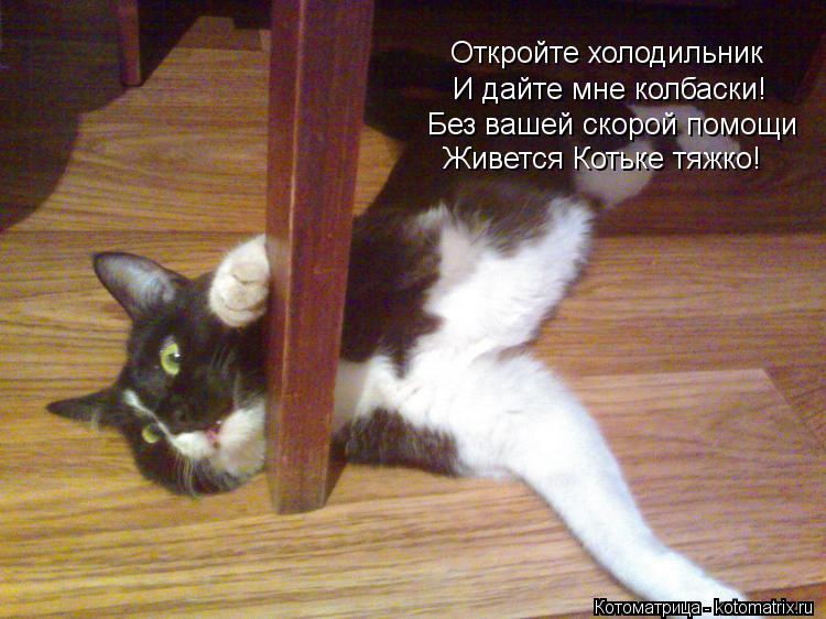 Откройте холодильник И дайте мне колбаски! Без вашей скорой помощи Живется Котьке тяжко!... Котоматрица: Откройте холодильник И дайте мне колбаски! Без вашей скорой помощи Живется Котьке тяжко!