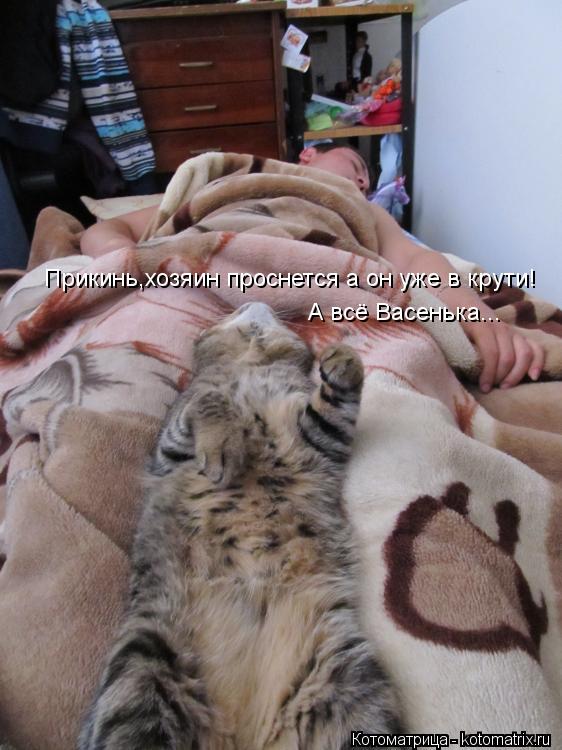 Котоматрица: Прикинь,хозяин проснется а он уже в крути! А всё Васенька...