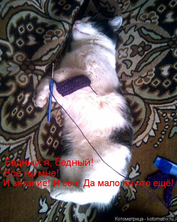 Бедный я, бедный! Всё на мне! И вязание! И сон! Да мало ли что ещё!... Котоматрица: Бедный я, бедный! Всё на мне! И вязание! И сон! Да мало ли что ещё!