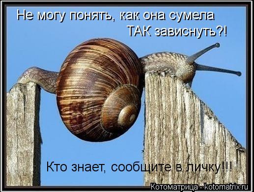 Котоматрица: Не могу понять, как она сумела  ТАК зависнуть?! Кто знает, сообщите в личку!!!