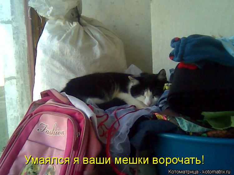 Умаялся я ваши мешки ворочать!... Котоматрица: Умаялся я ваши мешки ворочать!
