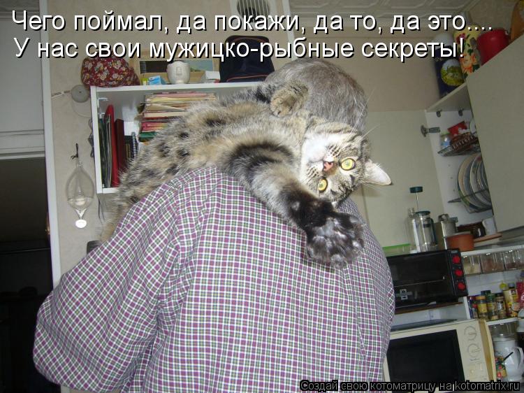 Чего поймал, да покажи, да то, да это.... У нас свои мужицко-рыбные секреты!... Котоматрица: Чего поймал, да покажи, да то, да это.... У нас свои мужицко-рыбные секреты!