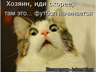 Котоматрица: там это... футбол начинается Хозяин, иди скорее,