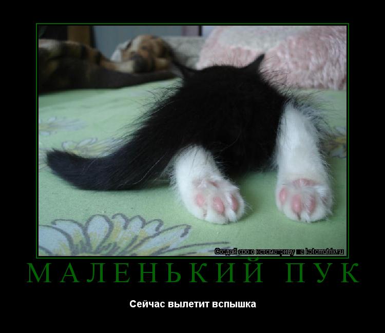 Маленький Пук