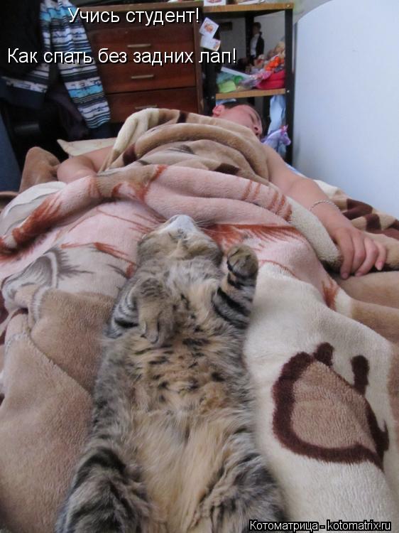 Котоматрица: Учись студент! Как спать без задних лап!