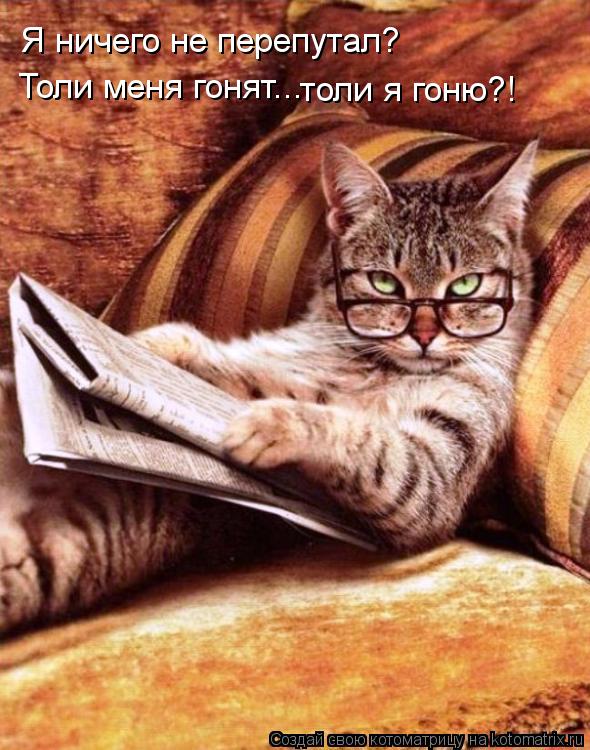 Котоматрица: Я ничего не перепутал? Толи меня гонят... толи я гоню?!