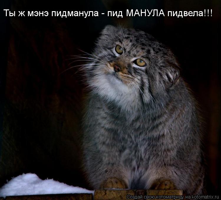 Ты ж мэнэ пидманула - пид МАНУЛА пидвела!!!... Котоматрица: Ты ж мэнэ пидманула - пид МАНУЛА пидвела!!!