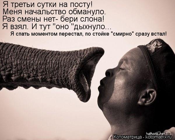 Котоматрица: Я третьи сутки на посту! Меня начальство обмануло. Раз смены нет- бери слона! Я взял. И тут "оно "дыхнуло... Я спать моментом перестал, по стойке