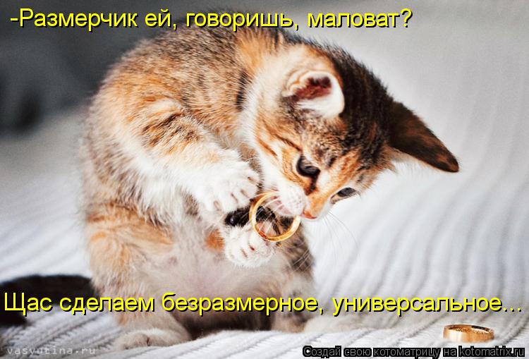Котоматрица: -Размерчик ей, говоришь, маловат? Щас сделаем безразмерное, универсальное...