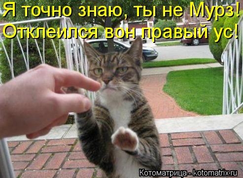 Я точно знаю, ты не Мурз! Отклеился вон правый ус!... Котоматрица: Я точно знаю, ты не Мурз! Отклеился вон правый ус!