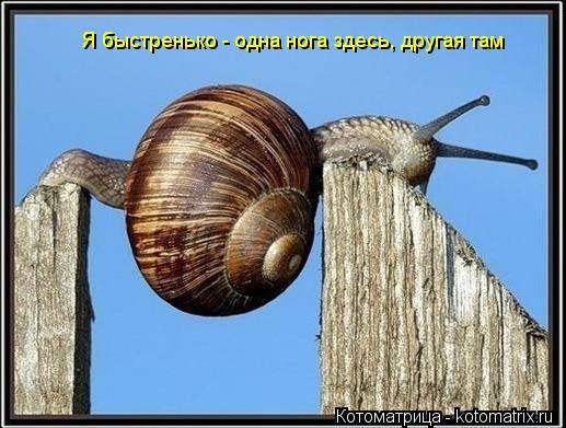 Котоматрица: Я быстренько - одна нога здесь, другая там