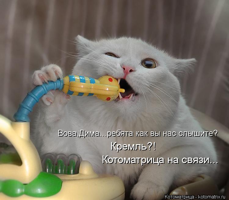 Котоматрица: Вова,Дима...ребята как вы нас слышите? Кремль?! Котоматрица на связи...