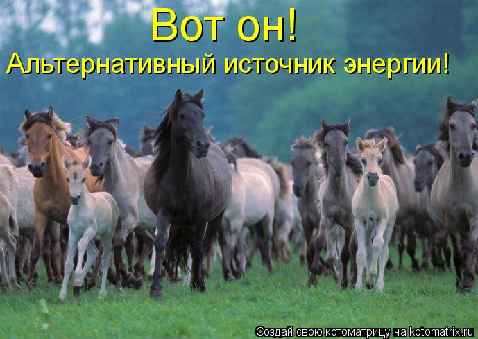 Котоматрица: Вот он! Альтернативный источник энергии!