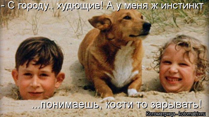 - С городу.. худющие! А у меня ж инстинкт ...понимаешь, кости то зарывать!... Котоматрица: - С городу.. худющие! А у меня ж инстинкт ...понимаешь, кости то зарывать!