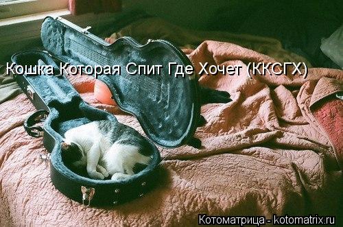 Котоматрица: Кошка Которая Спит Где Хочет (ККСГХ)