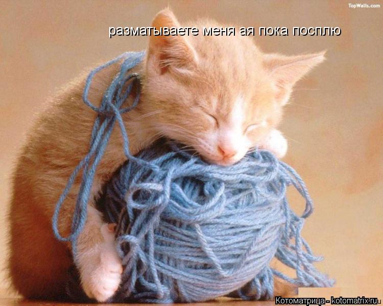 Котоматрица: разматываете меня ая пока посплю