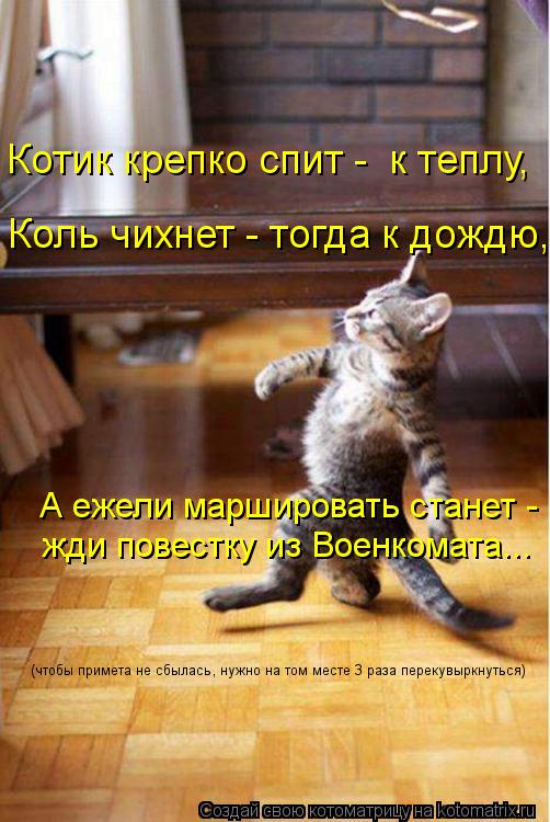 Котоматрица: Котик крепко спит -  к теплу, Коль чихнет - тогда к дождю, А ежели маршировать станет -  жди повестку из Военкомата... (чтобы примета не сбылась, 